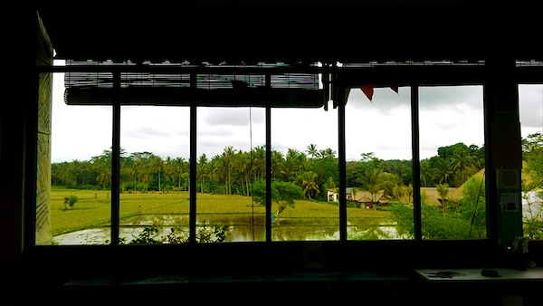 bali jepun tea room rice field view from above