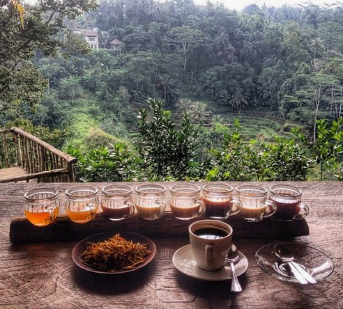 enjoying bali coffee in nature