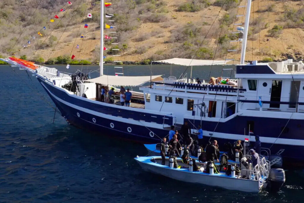 Seahorse liveaboard